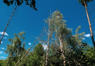 圭峰山國家森林公園