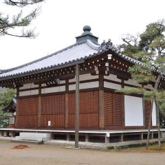 Taihoan User Photo