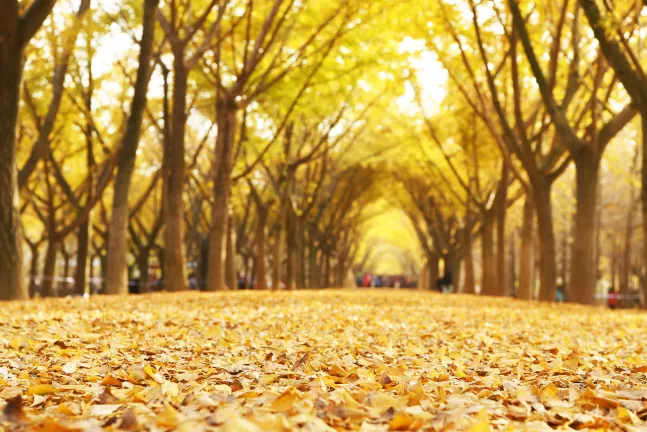 Для бизнес-поездок Отели в г. Пичжоу