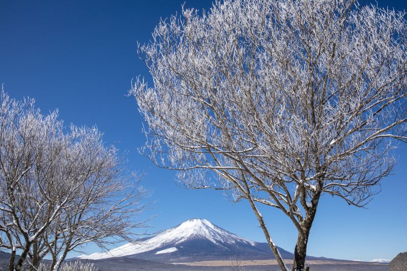 Mount Yōtei