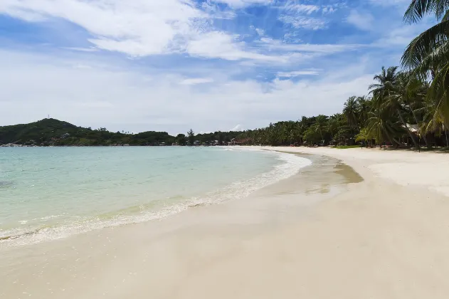 觀海泊因希亞旅館