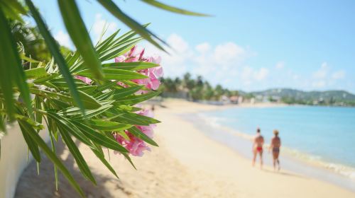 Unawatuna Beach