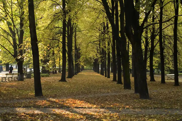 Hotels near Dongba Country Park