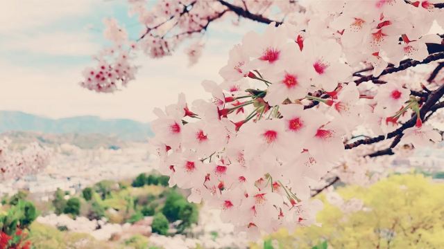 오사카 성
