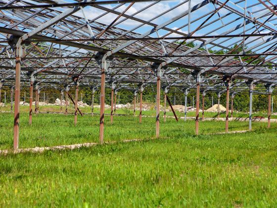 Xinjiang Agricultural Expo