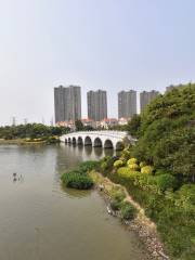 Chongqing Caiyunhu City Wetland Park