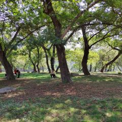 下淤水岸烧烤园 User Photo