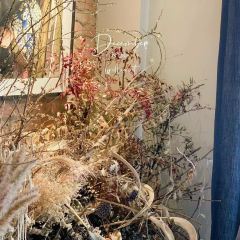 Shimaonsen Kashiwaya Café張用戶圖片