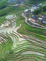 竹海梯田