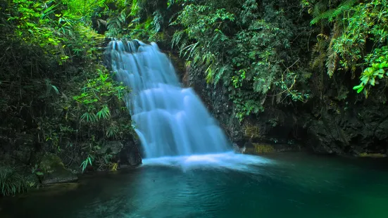 黃金溝森林旅遊景區