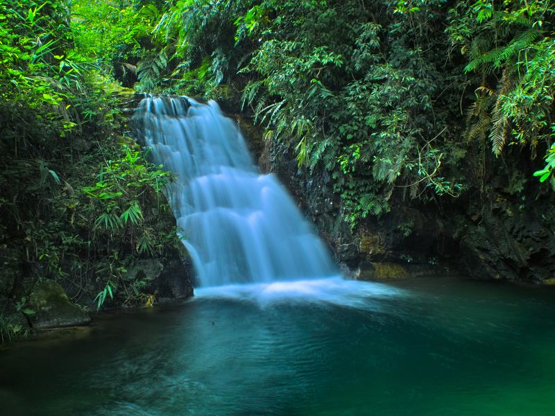 黃金溝森林旅遊景區