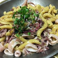 Ynot Italian User Photo