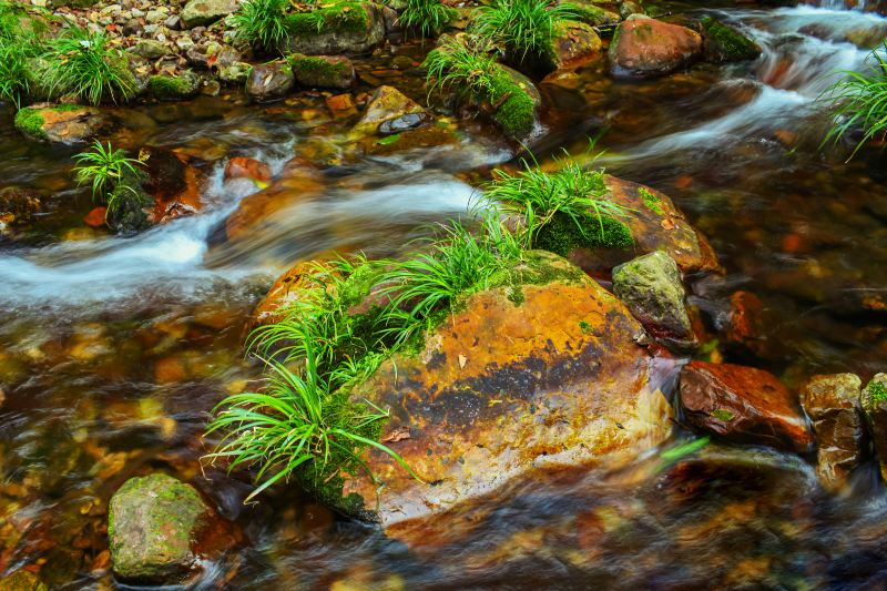 Xianren Brook