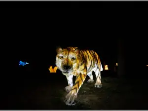Popular Night Attractions in Yishui