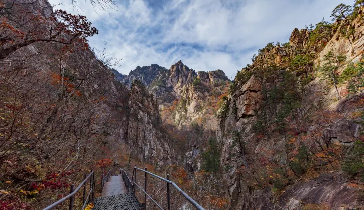 Отели с услугой парковкой в г. Вандо