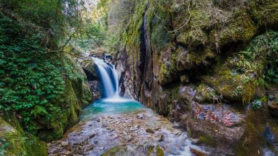 Shaoguan National Forest Park