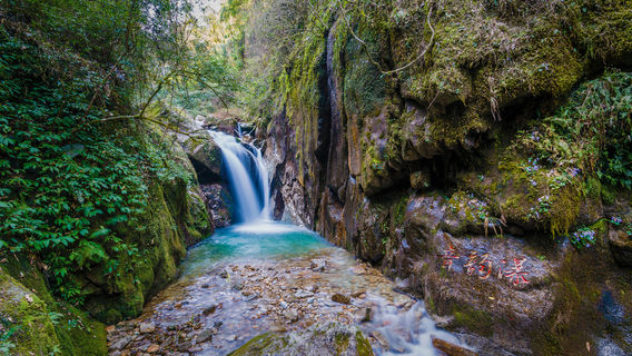 Shaoguan National Forest Park