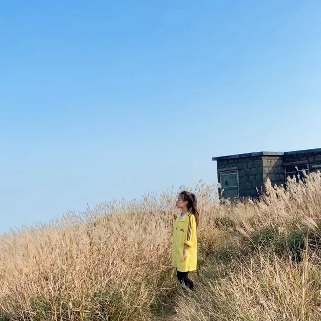 大東山爛頭營石屋旁的芒草海