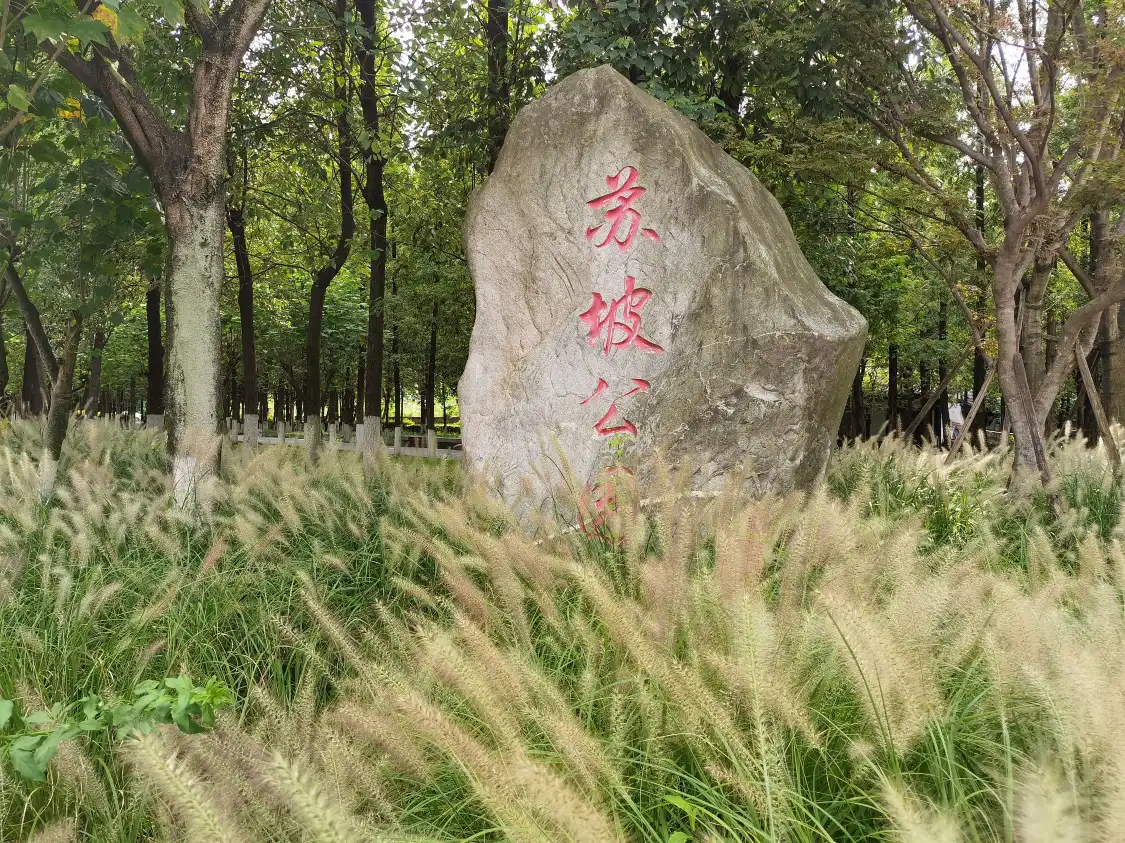 수포 공원 주변 호텔