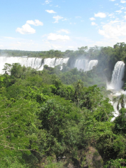 Full Moon Walk at Iguazu Falls