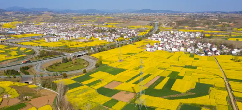 Hotels in Yang County