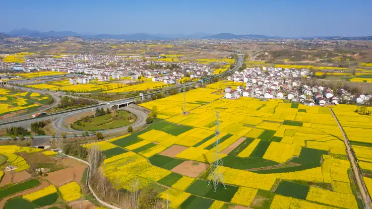 Hotels in Yang County