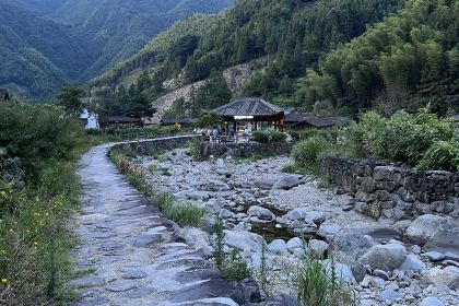 grayland cafe(岭脚村店)