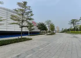 濱江體育中心體育館