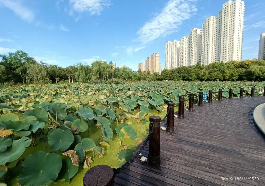 鹽城植物園東區-水生植物觀賞區