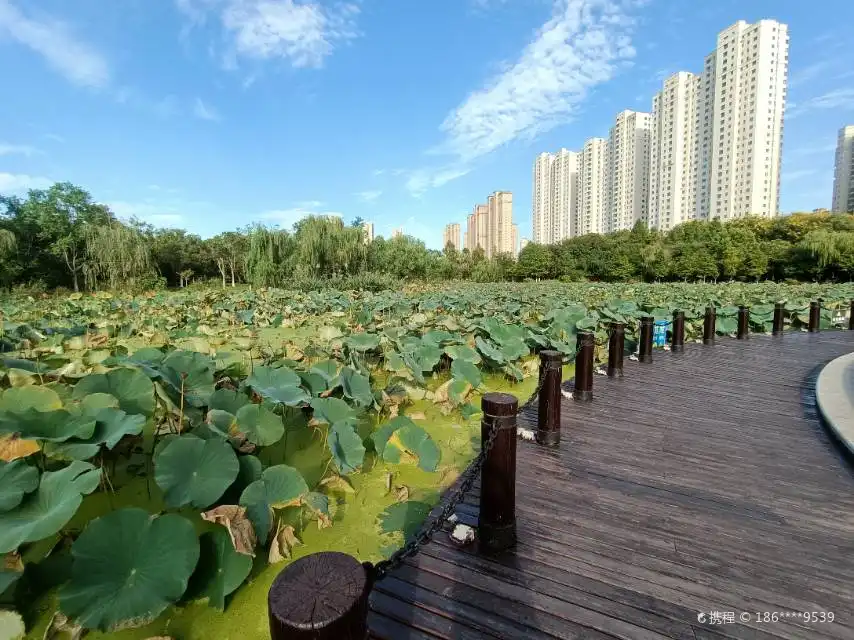 Hotels near Aquatic Plants Ornamental Area, East District of Yancheng Botanical Garden