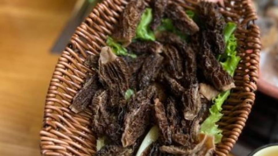 Apolapaigu (zhongyi)