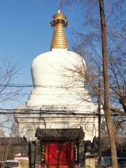 Four Towers Built in the Early Qing Dynasty