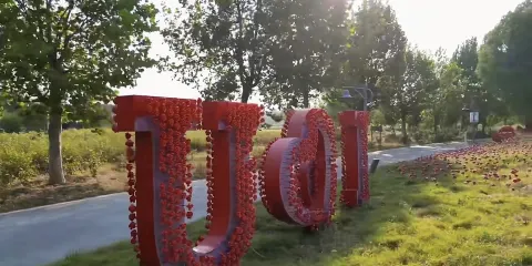 山東黃河玫瑰湖國家濕地公園