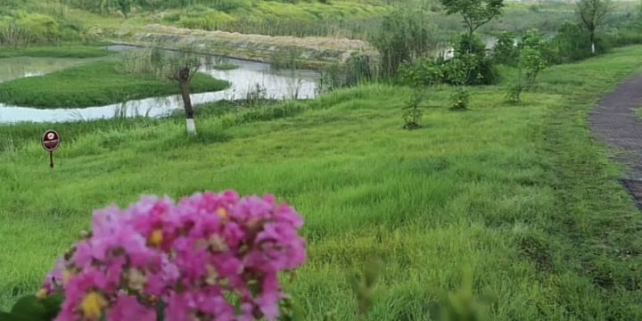 Zilong Lake Wetland Park