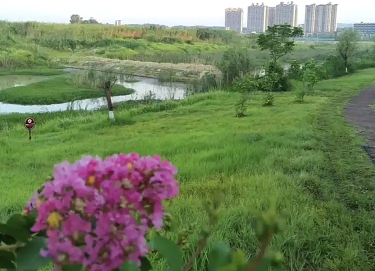 Hotels near Zilong Lake Wetland Park