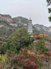 Jiulongxia Scenic Area