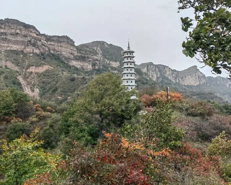 Jiulongxia Scenic Area