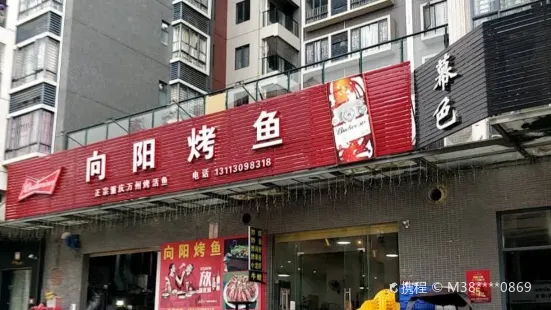 向阳烤鱼(金湖湾店)