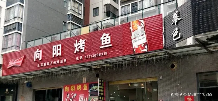 向阳烤鱼(金湖湾店)