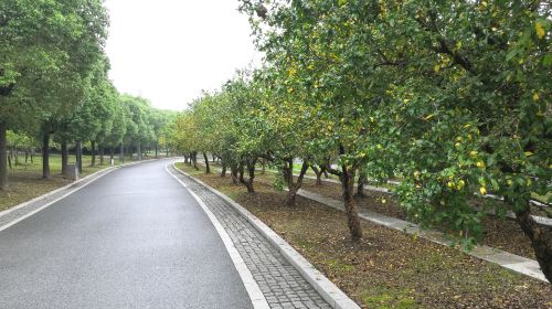 Jingjiang Binjiang Park