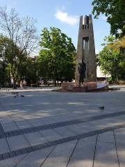Площадь Винцаса Кудирки