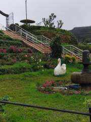 Krishnarajendra Botanical Park