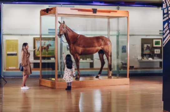 Melbourne Museum