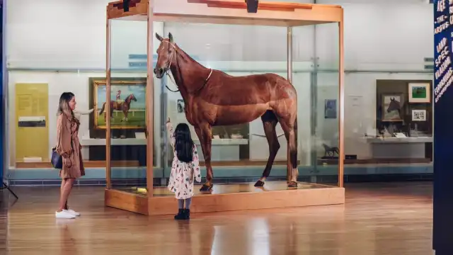 Melbourne Museum