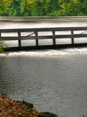 Parker Dam State Park