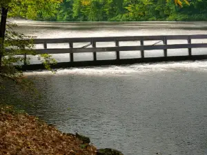 Parker Dam State Park