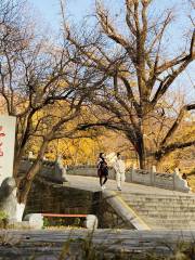 Jiulong Bridge