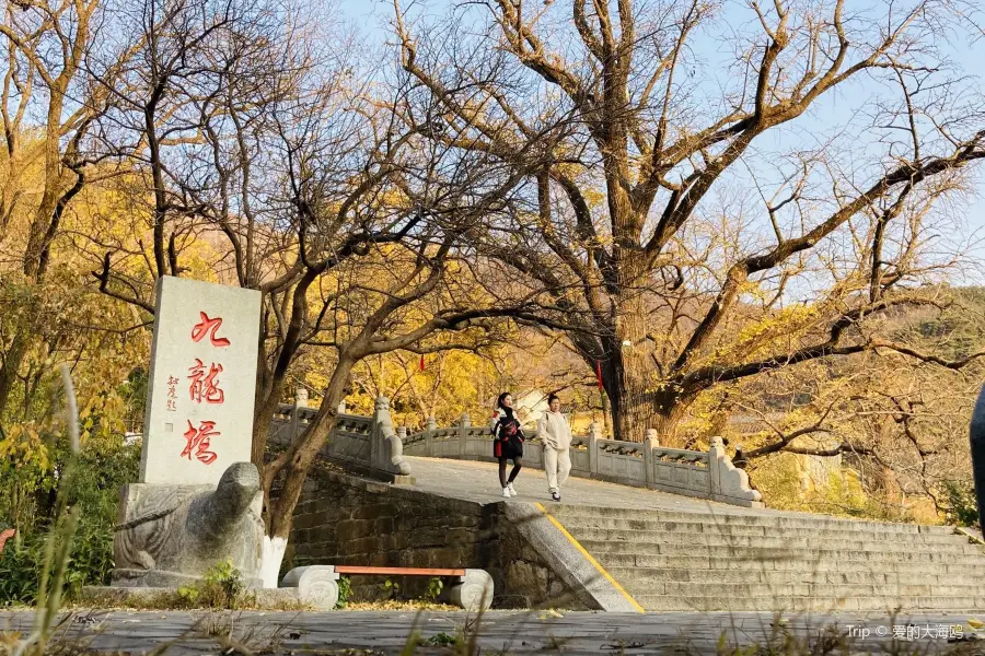 Jiulong Bridge