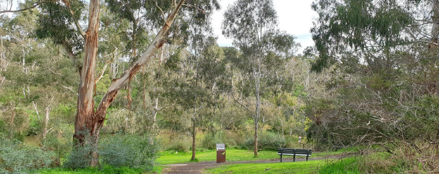 Bellbird Picnic Area