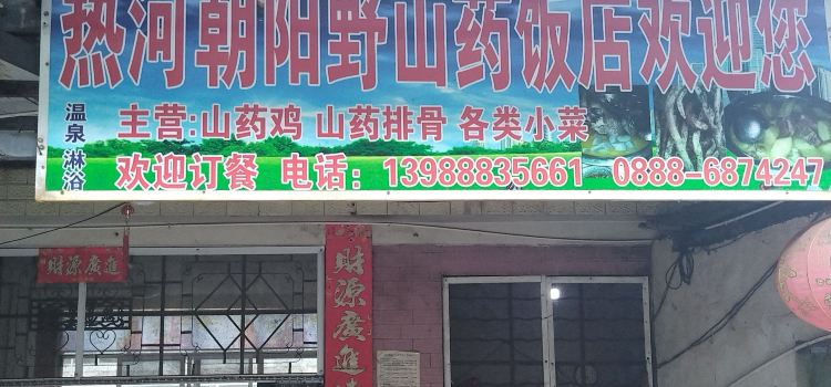 热河朝阳野山药饭店